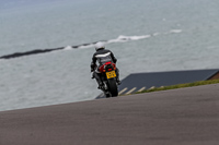 PJ-Motorsport-2019;anglesey-no-limits-trackday;anglesey-photographs;anglesey-trackday-photographs;enduro-digital-images;event-digital-images;eventdigitalimages;no-limits-trackdays;peter-wileman-photography;racing-digital-images;trac-mon;trackday-digital-images;trackday-photos;ty-croes